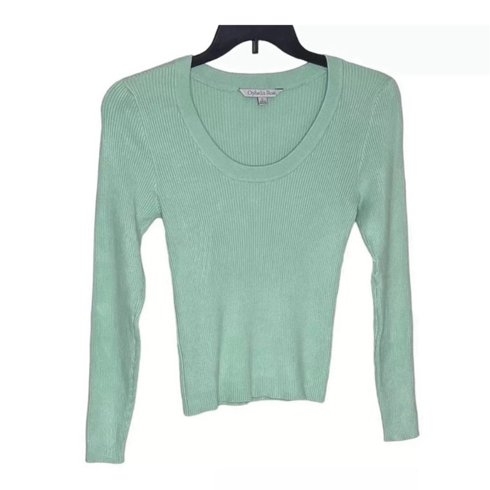 Ophelia Roe Women’s Mint Green Ribbed Round Neck Stretchy Sweater 2X Mint Green